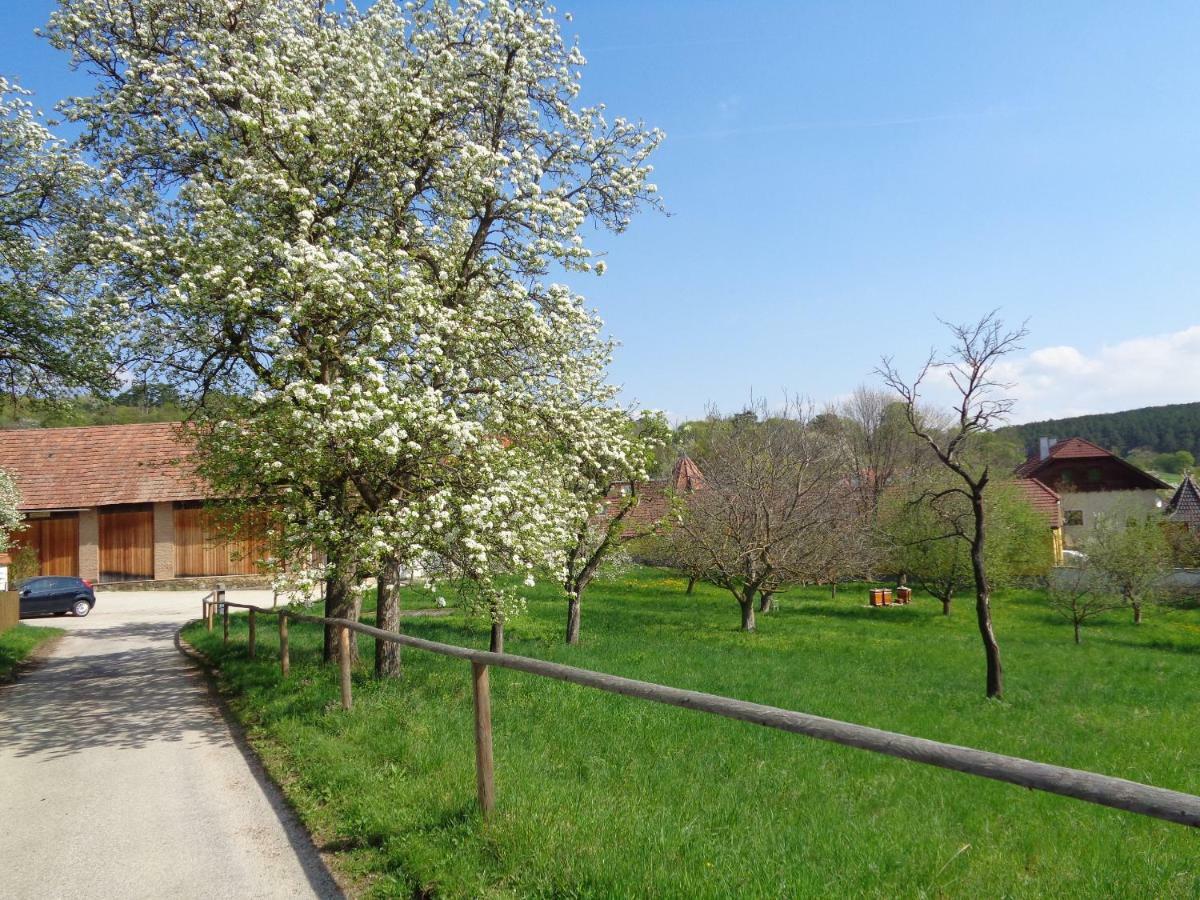 Apartments Himmelreich Ternitz Екстериор снимка