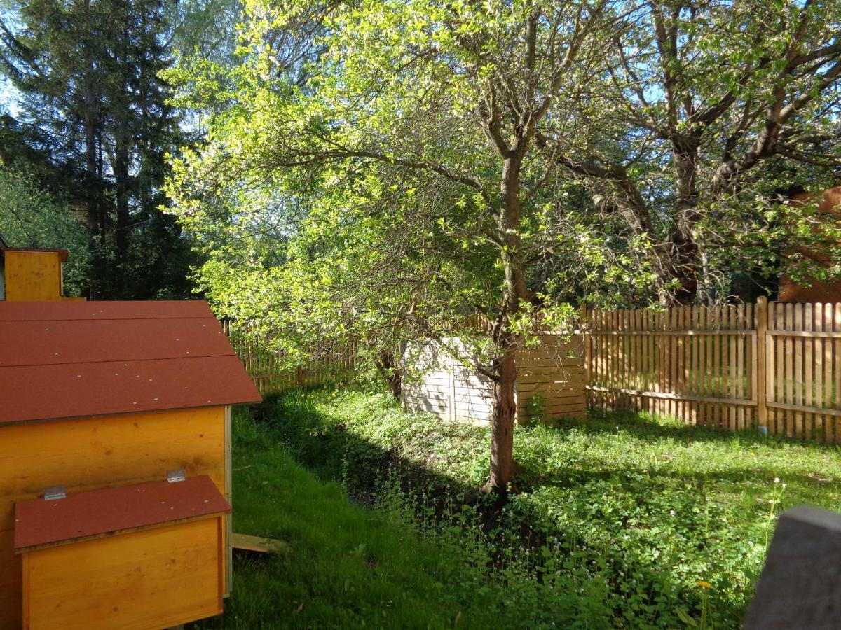 Apartments Himmelreich Ternitz Екстериор снимка